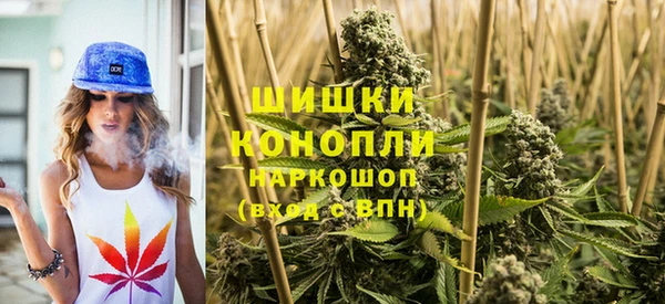 apvp Аркадак
