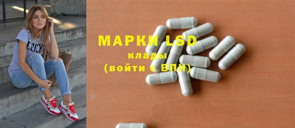apvp Аркадак
