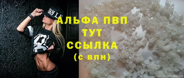 apvp Аркадак