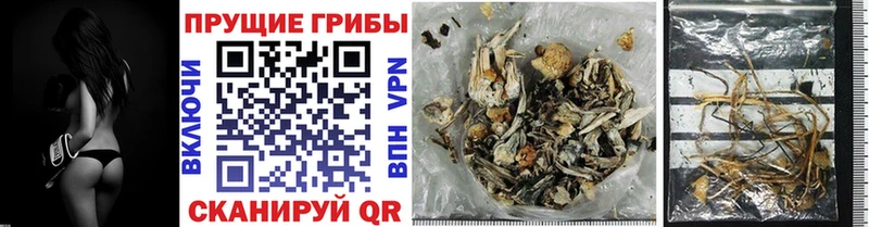 Псилоцибиновые грибы мухоморы Сунжа