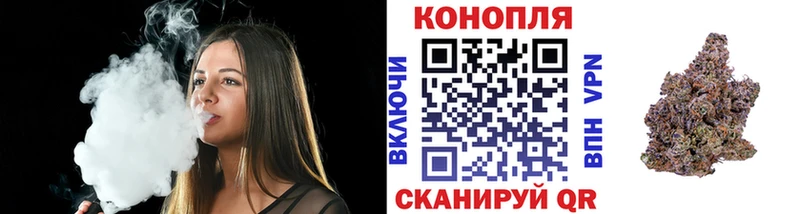 Марихуана гибрид  Сунжа 